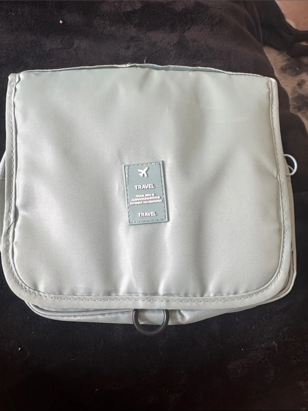 Travel Bag in Light Sage Green